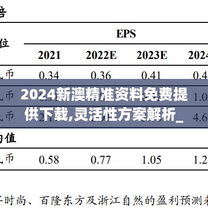 2024新澳精准资料免费提供下载,灵活性方案解析_3K50.469