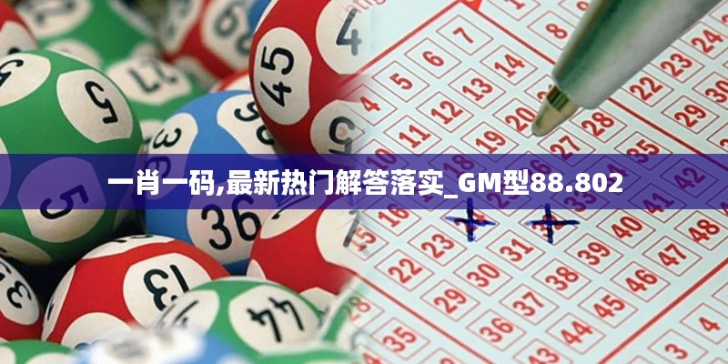 一肖一码,最新热门解答落实_GM型88.802