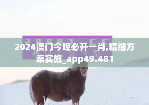 2024澳门今晚必开一肖,精细方案实施_app49.481