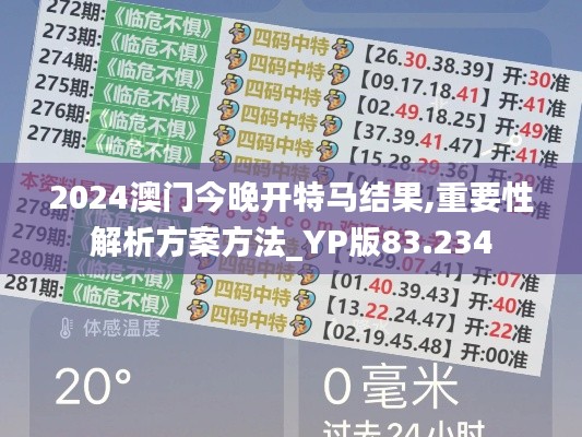 2024澳门今晚开特马结果,重要性解析方案方法_YP版83.234