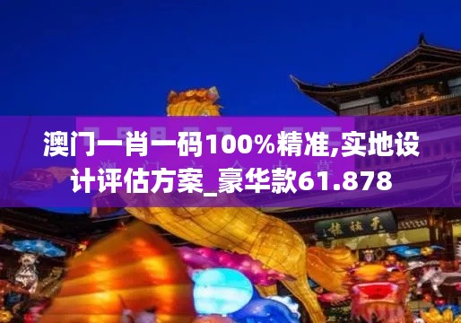 澳门一肖一码100%精准,实地设计评估方案_豪华款61.878