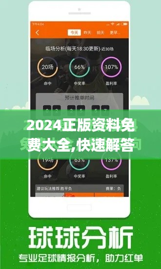 2024正版资料免费大全,快速解答计划设计_终极版87.647