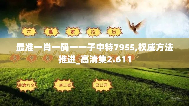 最准一肖一码一一子中特7955,权威方法推进_高清集2.611