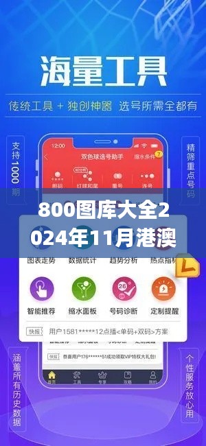 800图库大全2024年11月港澳,全面设计执行策略_XR35.344