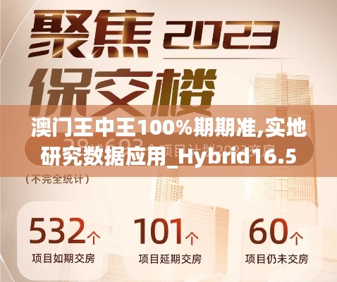 澳门王中王100%期期准,实地研究数据应用_Hybrid16.532