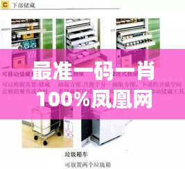 最准一码一肖100%凤凰网,精细设计解析_SHD47.326