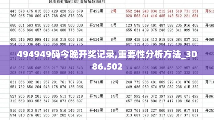 494949码今晚开奖记录,重要性分析方法_3D86.502