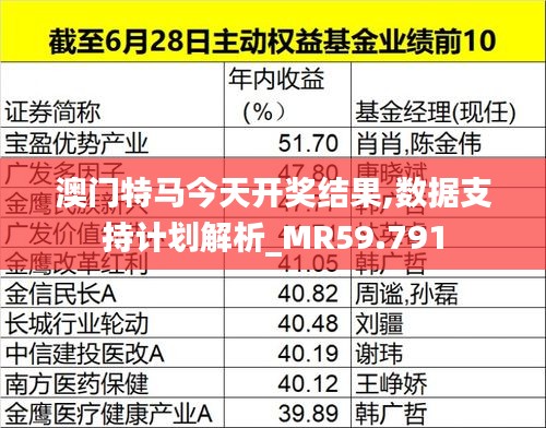 澳门特马今天开奖结果,数据支持计划解析_MR59.791