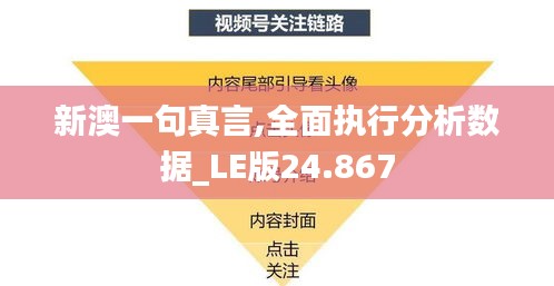 新澳一句真言,全面执行分析数据_LE版24.867