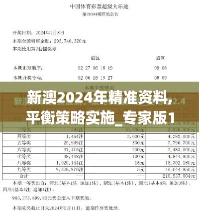 新澳2024年精准资料,平衡策略实施_专家版11.867