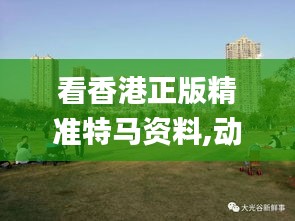 看香港正版精准特马资料,动态词语解释落实_限定版14.751