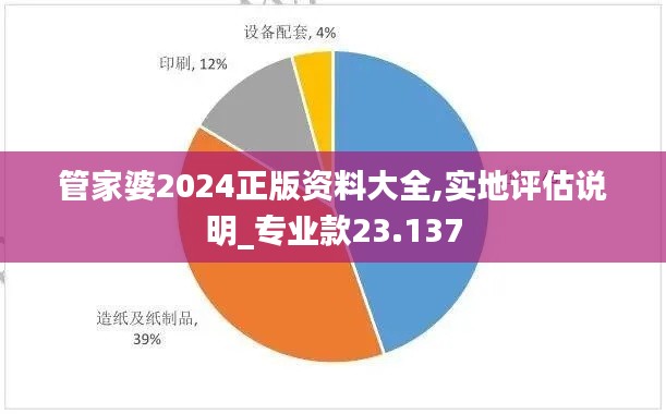 管家婆2024正版资料大全,实地评估说明_专业款23.137