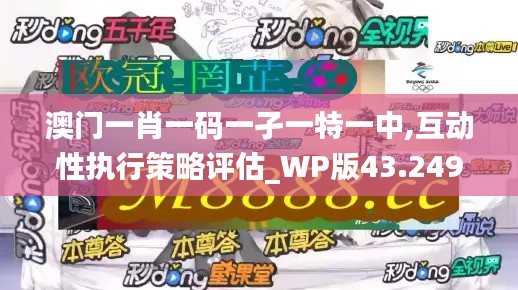 澳门一肖一码一孑一特一中,互动性执行策略评估_WP版43.249