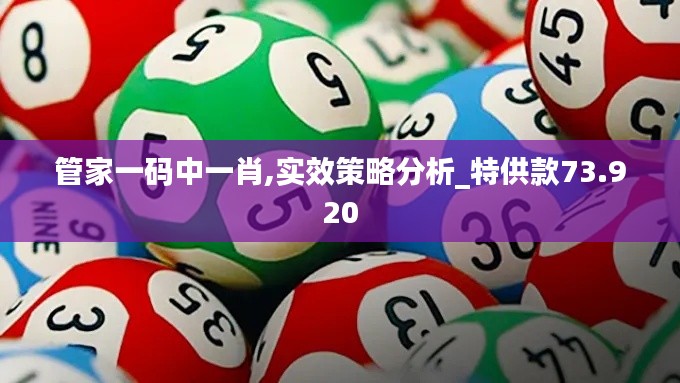 管家一码中一肖,实效策略分析_特供款73.920