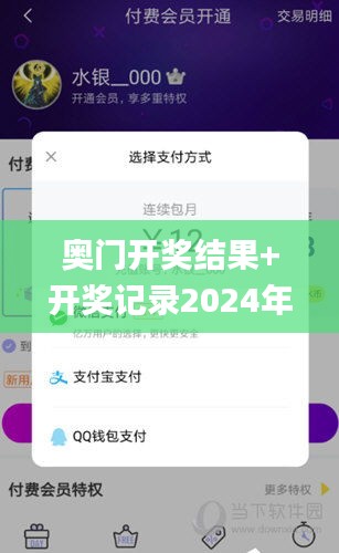 奥门开奖结果+开奖记录2024年资料网站,全面数据解释定义_交互版66.631