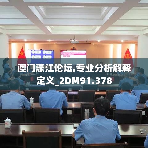 澳门濠江论坛,专业分析解释定义_2DM91.378