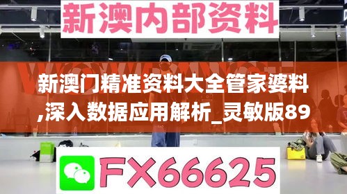 新澳门精准资料大全管家婆料,深入数据应用解析_灵敏版89.936