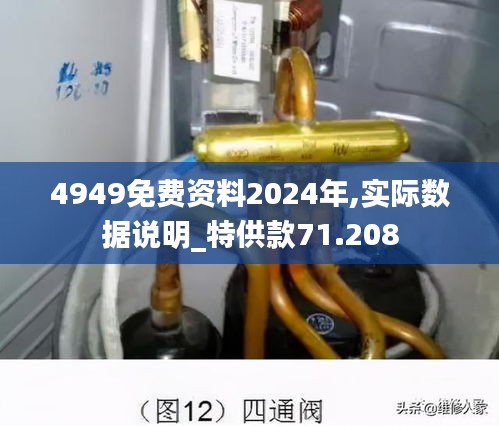 4949免费资料2024年,实际数据说明_特供款71.208