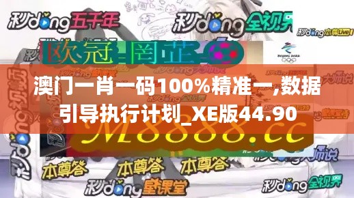 澳门一肖一码100%精准一,数据引导执行计划_XE版44.90