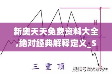 新奥天天免费资料大全,绝对经典解释定义_SP77.790