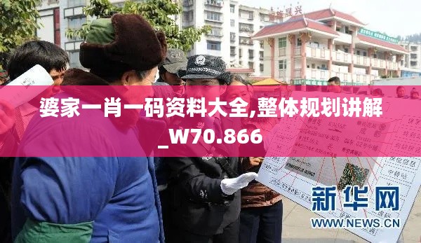 婆家一肖一码资料大全,整体规划讲解_W70.866