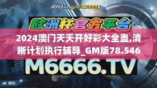 2024澳门天天开好彩大全蛊,清晰计划执行辅导_GM版78.546