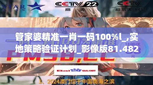 管家婆精准一肖一码100%l_,实地策略验证计划_影像版81.482