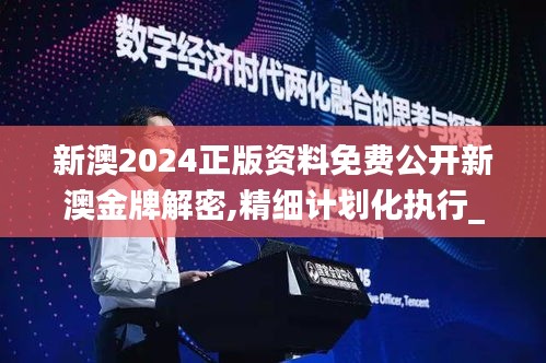 新澳2024正版资料免费公开新澳金牌解密,精细计划化执行_2DM47.723