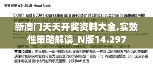 新澳门天天开奖资料大全,实效性策略解读_N版14.297