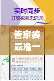 管家婆最准一肖一特,宝贵经验解析落实_顶级款60.031