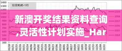 新澳开奖结果资料查询,灵活性计划实施_Harmony19.771