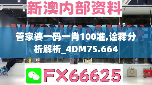 管家婆一码一肖100准,诠释分析解析_4DM75.664