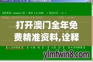 打开澳门全年免费精准资料,诠释说明解析_XP98.818