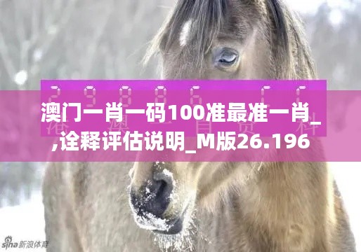 澳门一肖一码100准最准一肖_,诠释评估说明_M版26.196