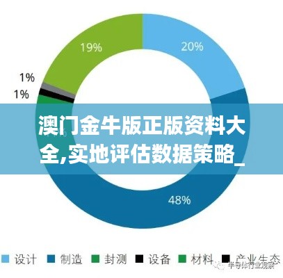 澳门金牛版正版资料大全,实地评估数据策略_YE版96.296