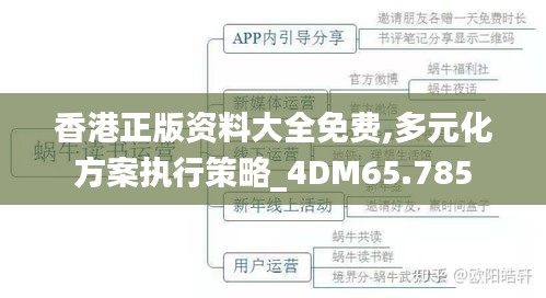 香港正版资料大全免费,多元化方案执行策略_4DM65.785