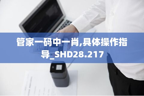 管家一码中一肖,具体操作指导_SHD28.217