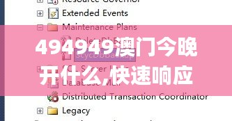 494949澳门今晚开什么,快速响应计划解析_PalmOS59.145