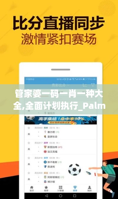 管家婆一码一肖一种大全,全面计划执行_PalmOS73.65