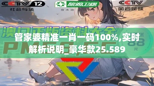 管家婆精准一肖一码100%,实时解析说明_豪华款25.589