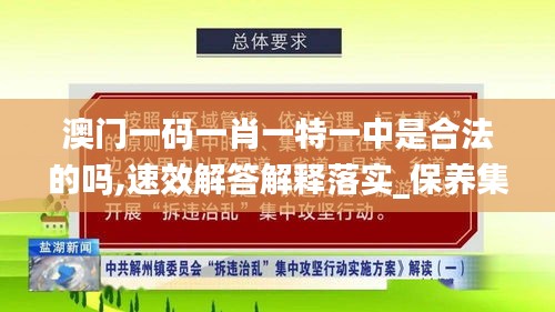 澳门一码一肖一特一中是合法的吗,速效解答解释落实_保养集68.976