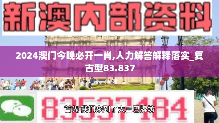 2024澳门今晚必开一肖,人力解答解释落实_复古型83.837