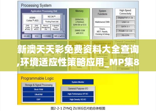 新澳天天彩免费资料大全查询,环境适应性策略应用_MP集86.537