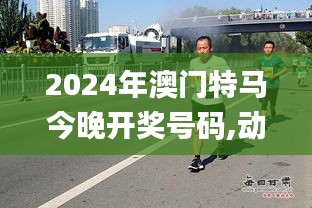 2024年澳门特马今晚开奖号码,动态调整策略执行_云端版50.100