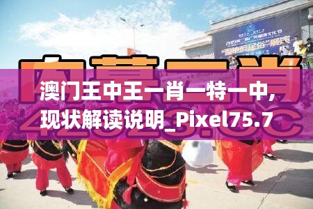 澳门王中王一肖一特一中,现状解读说明_Pixel75.726