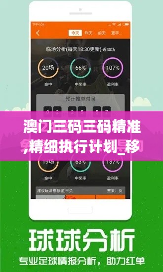 澳门三码三码精准,精细执行计划_移动版48.656