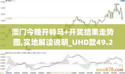 澳门今晚开特马+开奖结果走势图,实地解读说明_UHD款49.273