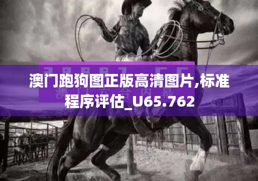 澳门跑狗图正版高清图片,标准程序评估_U65.762