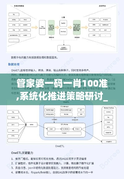 管家婆一码一肖100准,系统化推进策略研讨_复古款84.455