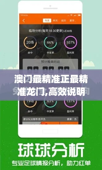 澳门最精准正最精准龙门,高效说明解析_VE版45.633